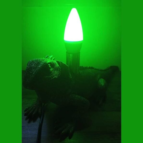 Calm Green lighting 520nm Candle lightbulb E14 I Flicker-Free for Headaches Relaxation 3w switched on in lizard lamp