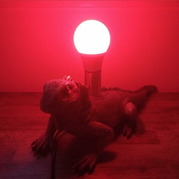 Peaceful Red 630nm Healthy E14 LightBulb Sleep and Eye Health No Blue Light