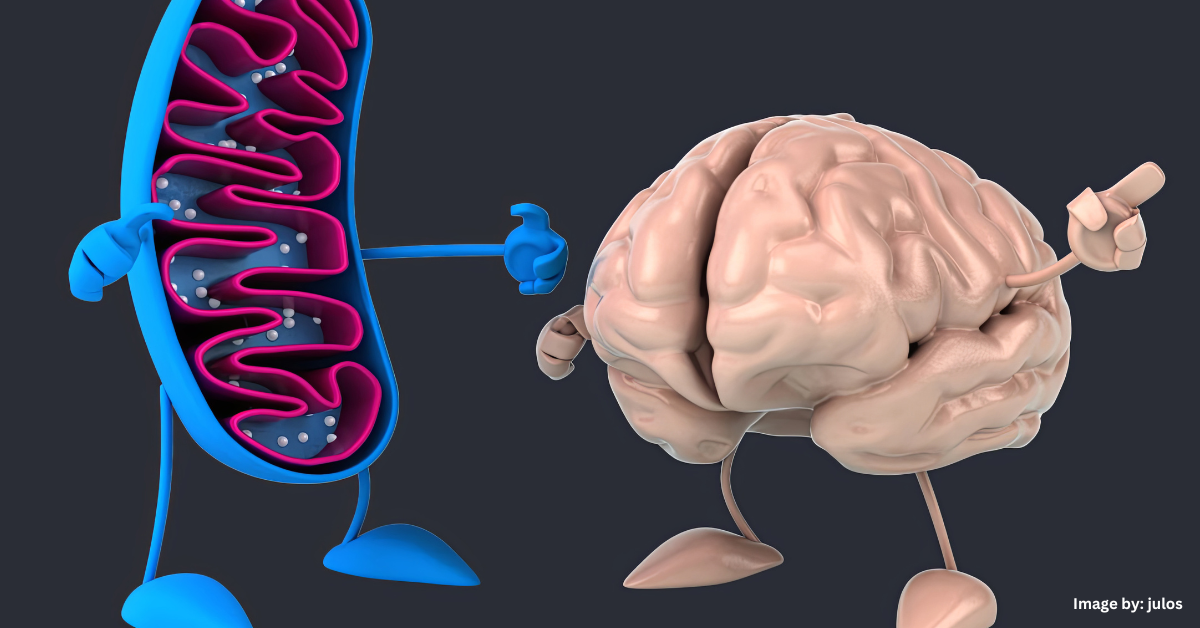 Unveiling the Surprising Causes of Autism and How Families Can Find Hope mitochondria and the brain Unveiling the Surprising Causes of Autism and How Families Can Find Hope mitochondria and the brain